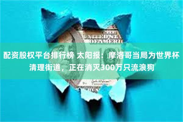 配资股权平台排行榜 太阳报：摩洛哥当局为世界杯清理街道，正在消灭300万只流浪狗
