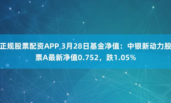 正规股票配资APP 3月28日基金净值：中银新动力股票A最新净值0.752，跌1.05%