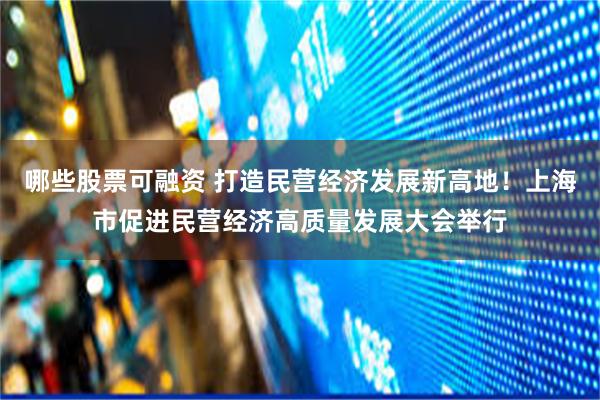哪些股票可融资 打造民营经济发展新高地！上海市促进民营经济高质量发展大会举行