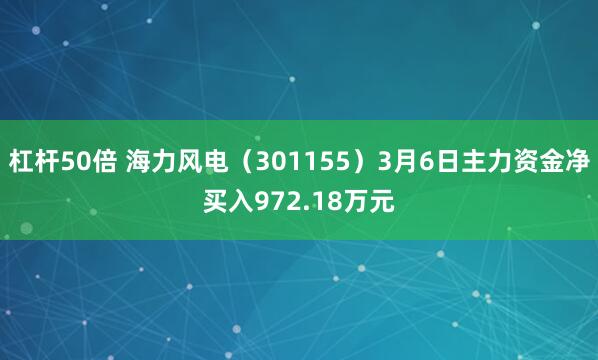 杠杆50倍 海力风电（301155）3月6日主力资金净买入972.18万元