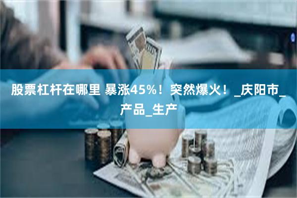 股票杠杆在哪里 暴涨45%！突然爆火！_庆阳市_产品_生产