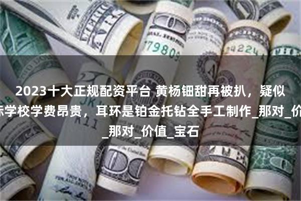 2023十大正规配资平台 黄杨钿甜再被扒，疑似就读国际学校学费昂贵，耳环是铂金托钻全手工制作_那对_价值_宝石