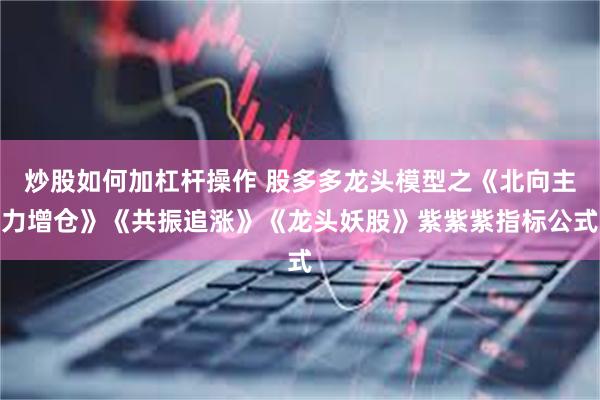 炒股如何加杠杆操作 股多多龙头模型之《北向主力增仓》《共振追涨》《龙头妖股》紫紫紫指标公式