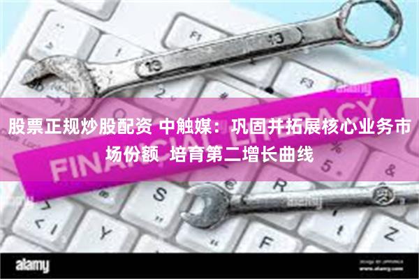 股票正规炒股配资 中触媒：巩固并拓展核心业务市场份额  培育第二增长曲线