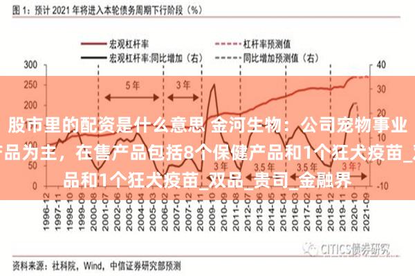 股市里的配资是什么意思 金河生物：公司宠物事业部以化药和疫苗产品为主，在售产品包括8个保健产品和1个狂犬疫苗_双品_贵司_金融界